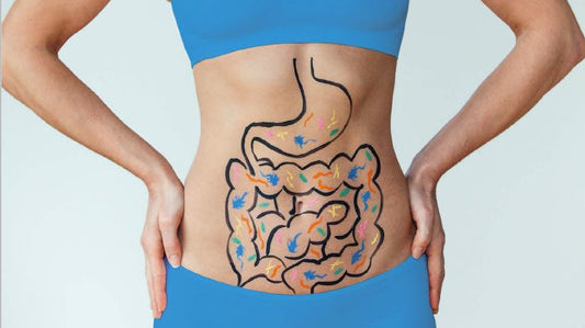 De bonnes bactéries pour une bonne santé
