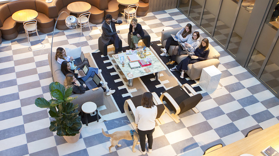 Les coups de coeur de l'équipe Archie