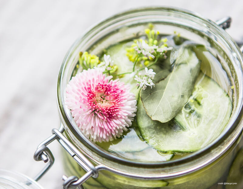 Recette de pickles de concombre au vinaigre de cidre Archie